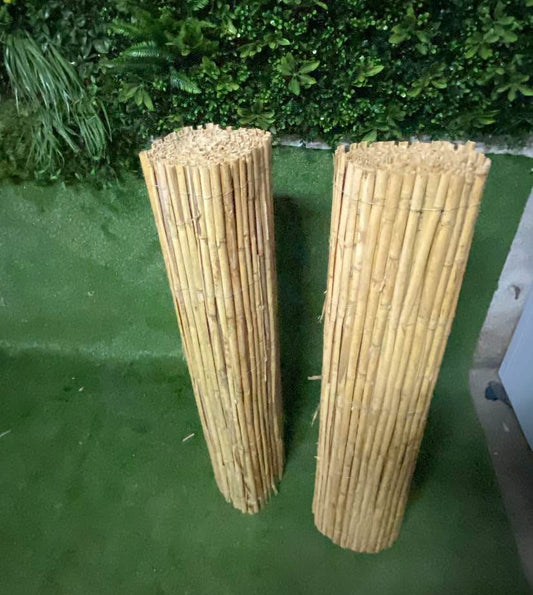 CAÑIZO NATURAL MEDIA CAÑA